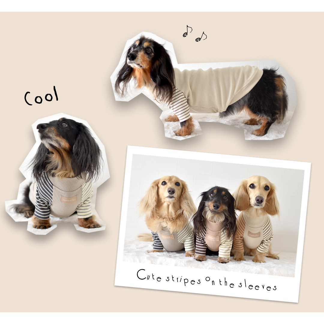 ダックスサイズ new 両袖ボーダーTシャツ 犬服 snowdrop 着せやすい