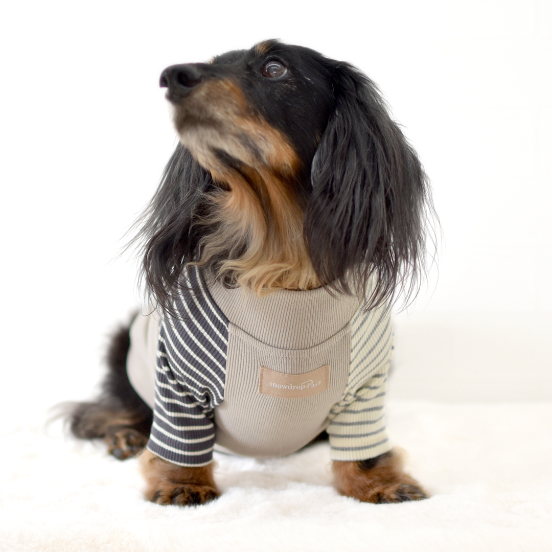 ダックスサイズ new 両袖ボーダーTシャツ 犬服 snowdrop 着せやすい