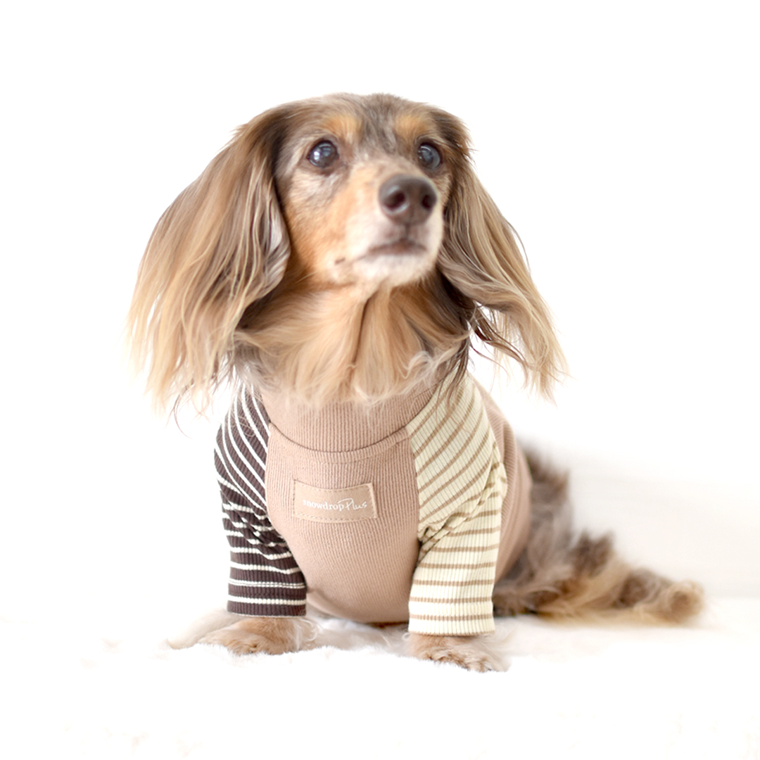 ダックスサイズ new 両袖ボーダーTシャツ 犬服 snowdrop 着せやすい