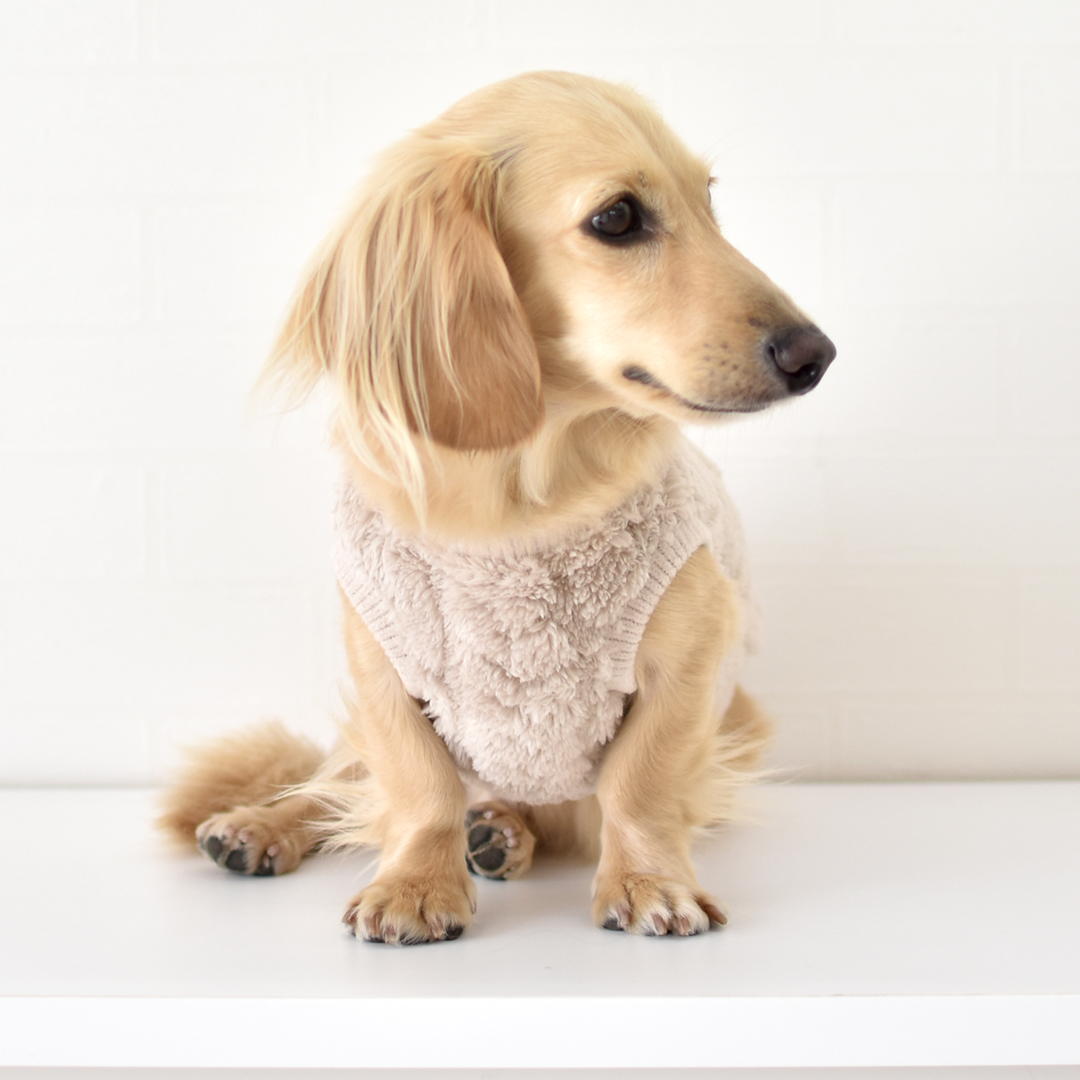 ボアベスト ぬくぬく ダックスサイズ ドッグウェア 小型犬 暖かい 軽量