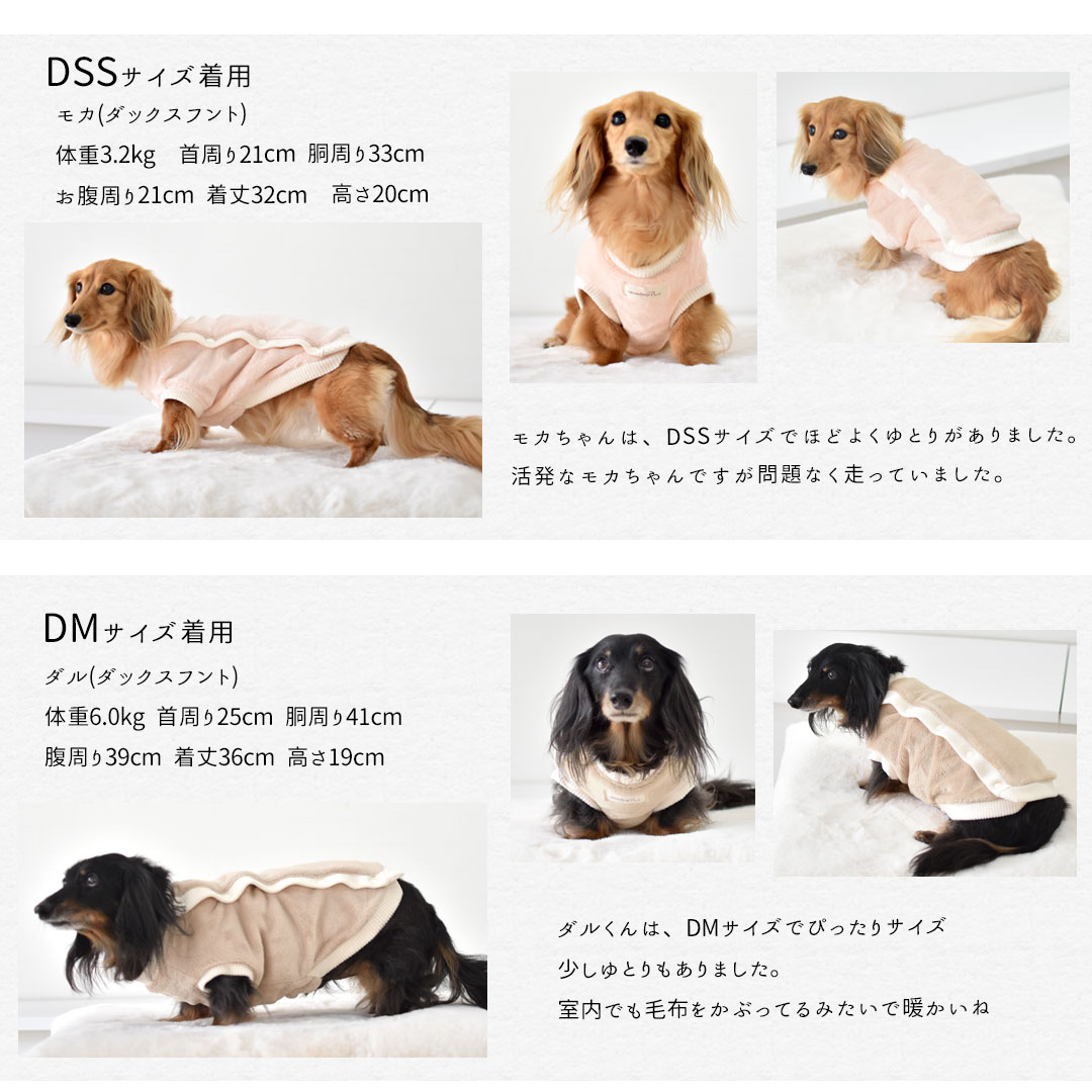 ダックス服のおすすめ人気商品一覧 通販 - Yahoo!ショッピング