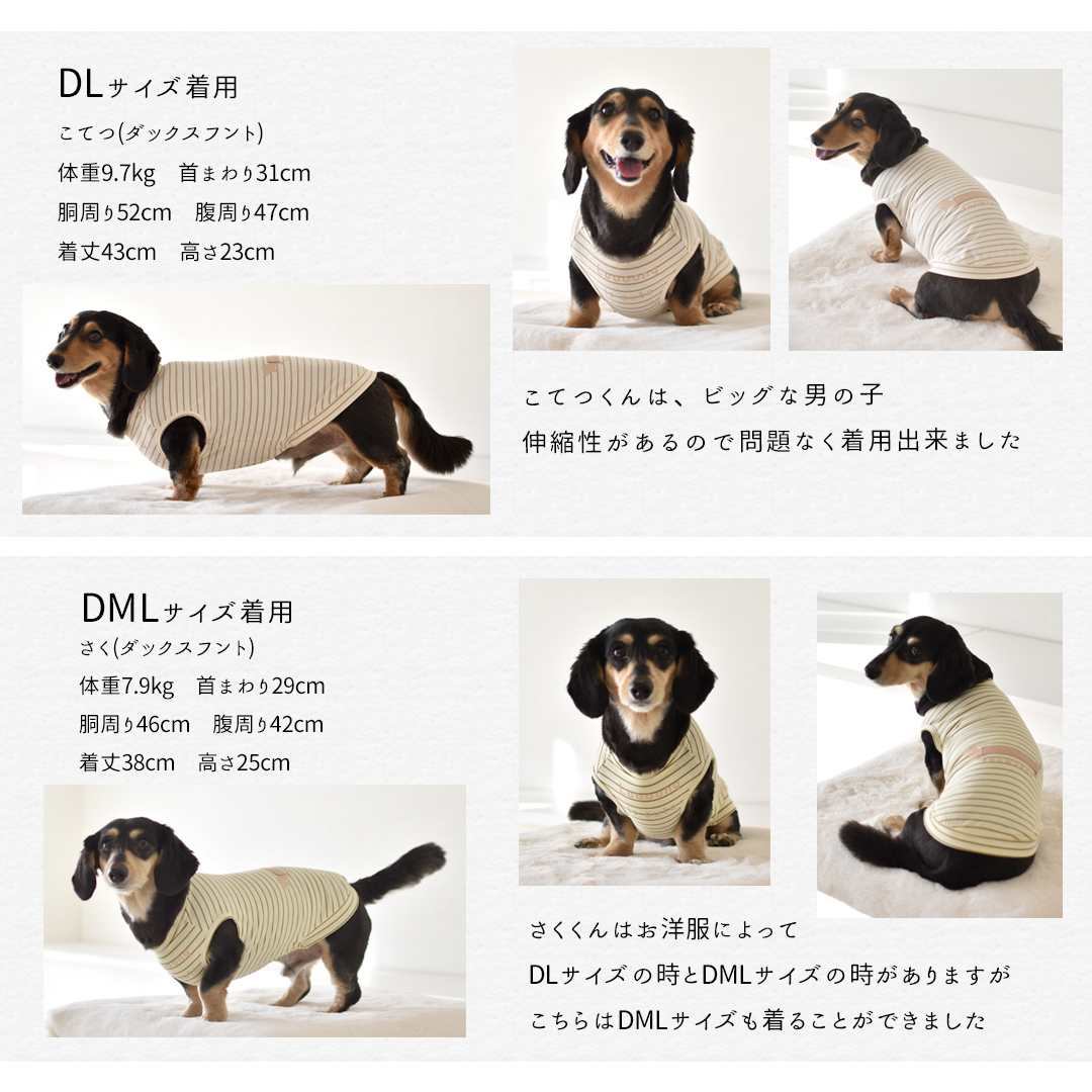 ボーダーロングダックス タンクトップ ダックスサイズ 名入れ 刺繍 春 夏 犬 服 涼しい タンクトップ 犬服 snowdrop のびのび 着せやすい ゆうパケット対象 | ブランド登録なし | 08