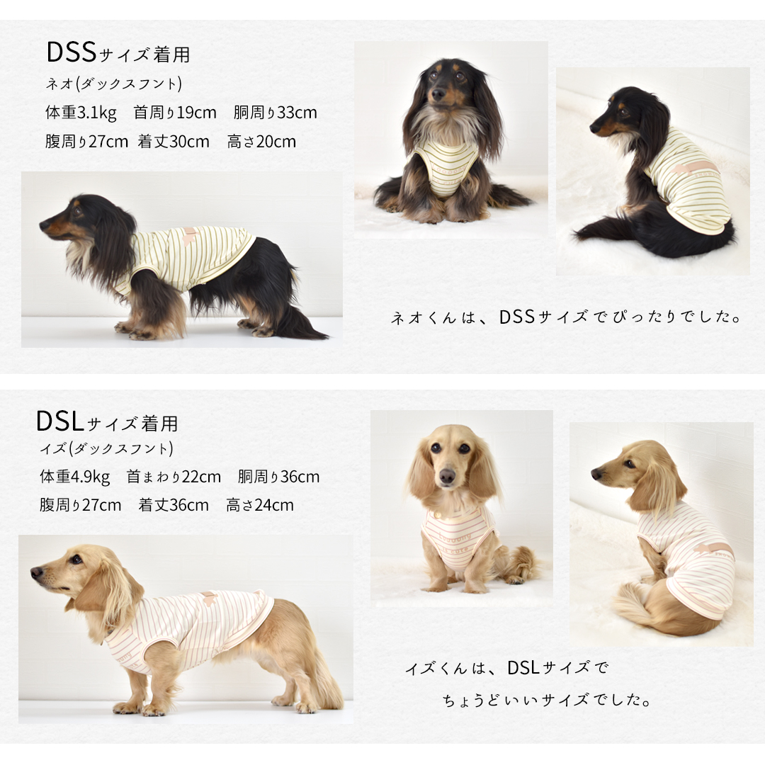 ボーダーロングダックス タンクトップ ダックスサイズ 名入れ 刺繍 春 夏 犬 服 涼しい タンクトップ 犬服 snowdrop のびのび 着せやすい ゆうパケット対象 | ブランド登録なし | 09