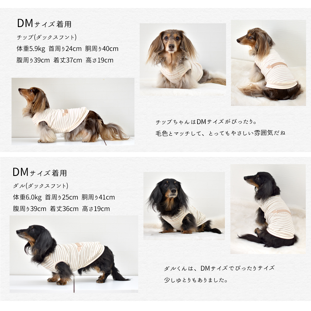ボーダーロングダックス タンクトップ ダックスサイズ 名入れ 刺繍 春 夏 犬 服 涼しい タンクトップ 犬服 snowdrop のびのび 着せやすい ゆうパケット対象 | ブランド登録なし | 10