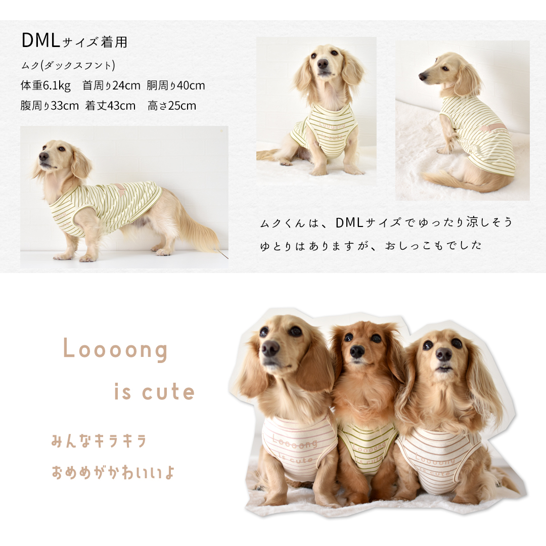 ボーダーロングダックス タンクトップ ダックスサイズ 名入れ 刺繍 春 夏 犬 服 涼しい タンクトップ 犬服 snowdrop のびのび 着せやすい ゆうパケット対象 | ブランド登録なし | 11