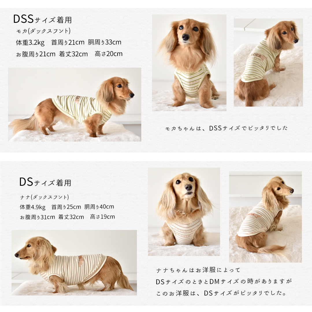 ボーダーロングダックス タンクトップ ダックスサイズ 名入れ 刺繍 春 夏 犬 服 涼しい タンクトップ 犬服 snowdrop のびのび 着せやすい ゆうパケット対象 | ブランド登録なし | 12