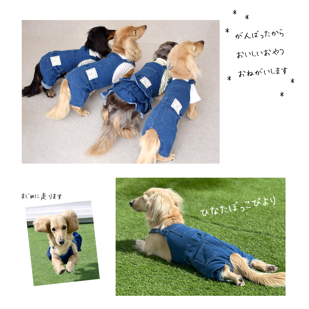 一部予約商品発送日6/12)デニムオーバーオール 名入れ 刺繍 ダックス
