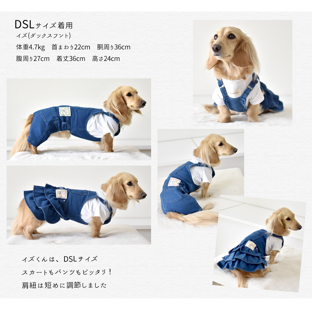 一部予約商品発送日6/12)デニムオーバーオール 名入れ 刺繍 ダックス