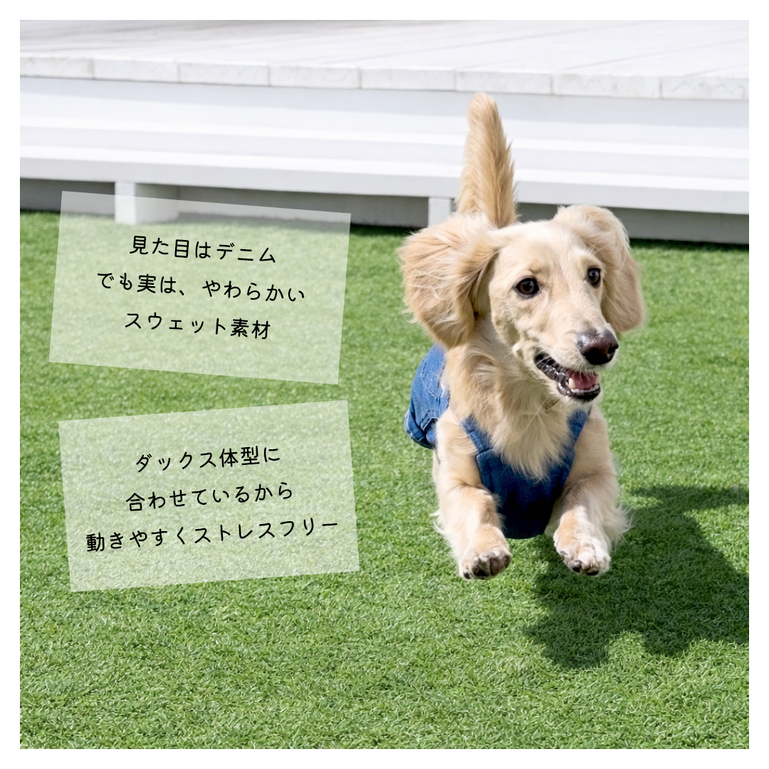 一部予約商品発送日6/12)デニムオーバーオール 名入れ 刺繍 ダックス