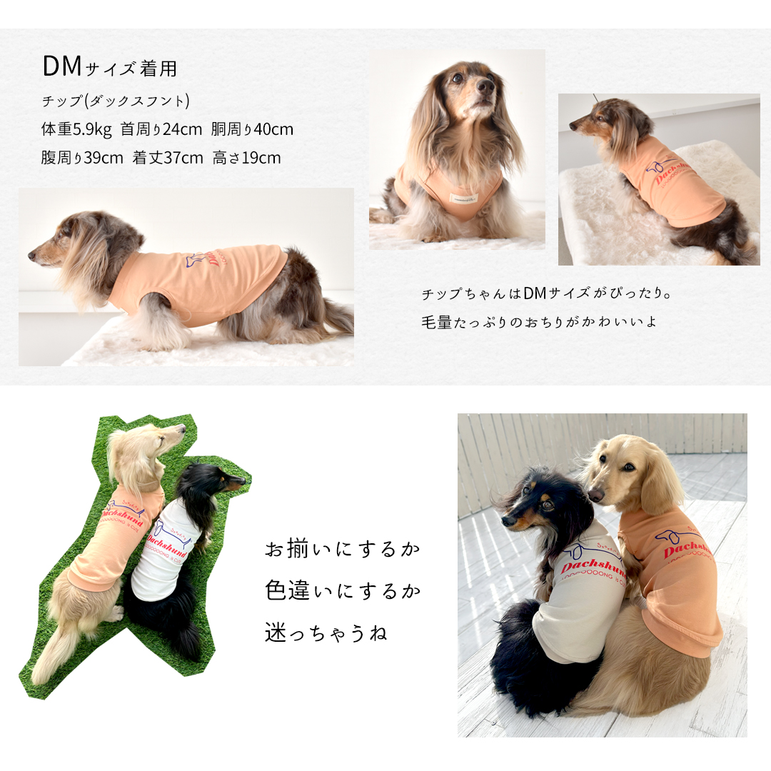 (2月6日12時まで早割10％オフ)背面ロゴ タンクトップ ダックスサイズ プリント名入れ 春 夏 犬 服 涼しい 犬服 snowdrop のびのび 着せやすい | ブランド登録なし | 12