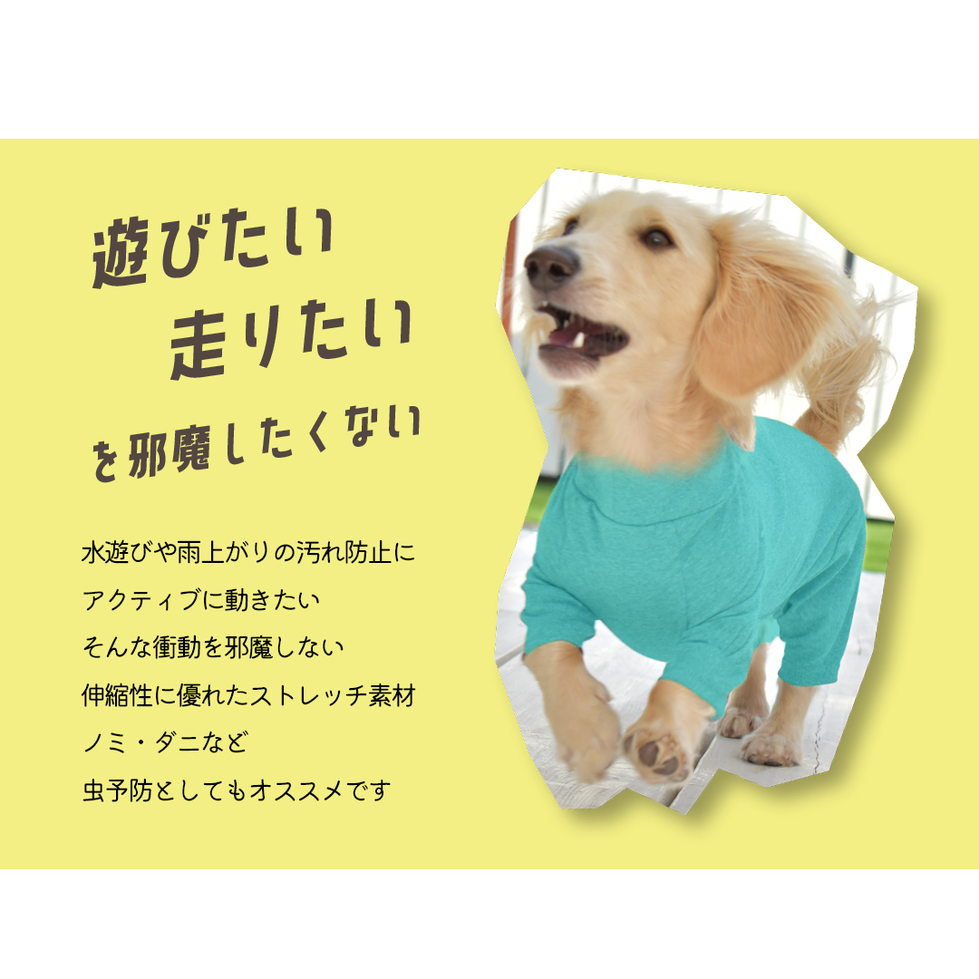 (3月11日12時迄早割10%オフ)数量限定!...の詳細画像1