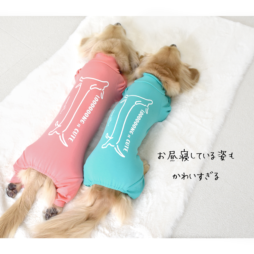 (3月11日12時迄早割10%オフ)数量限定!...の詳細画像2