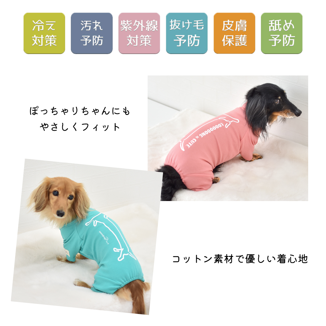 (3月11日12時迄早割10%オフ)数量限定!...の詳細画像3