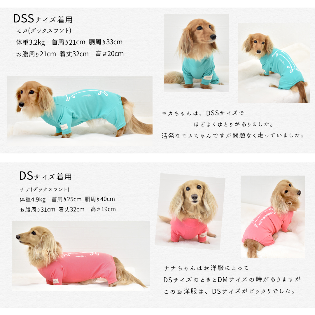 (3月11日12時迄早割10%オフ)数量限定!...の詳細画像4