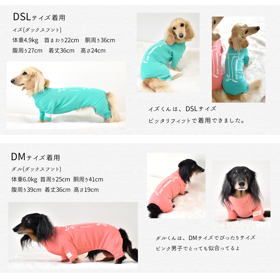 (3月11日12時迄早割10%オフ)数量限定!...の詳細画像5