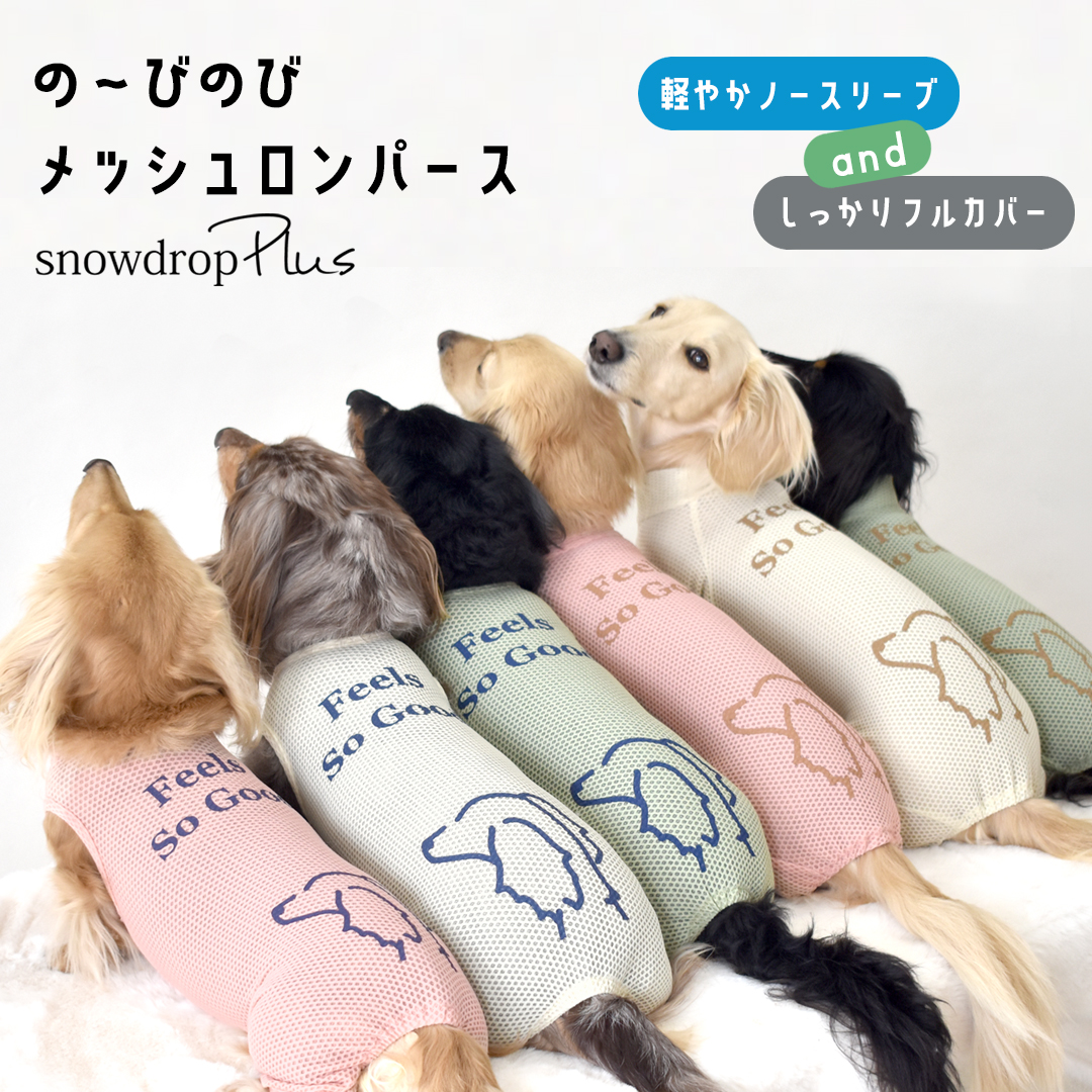 chimocoページです　ダックス　犬服　ラッシュガード　ロンパース ロゴ水着 ダックスサイズ ラッシュガード snowdrop アクティブ