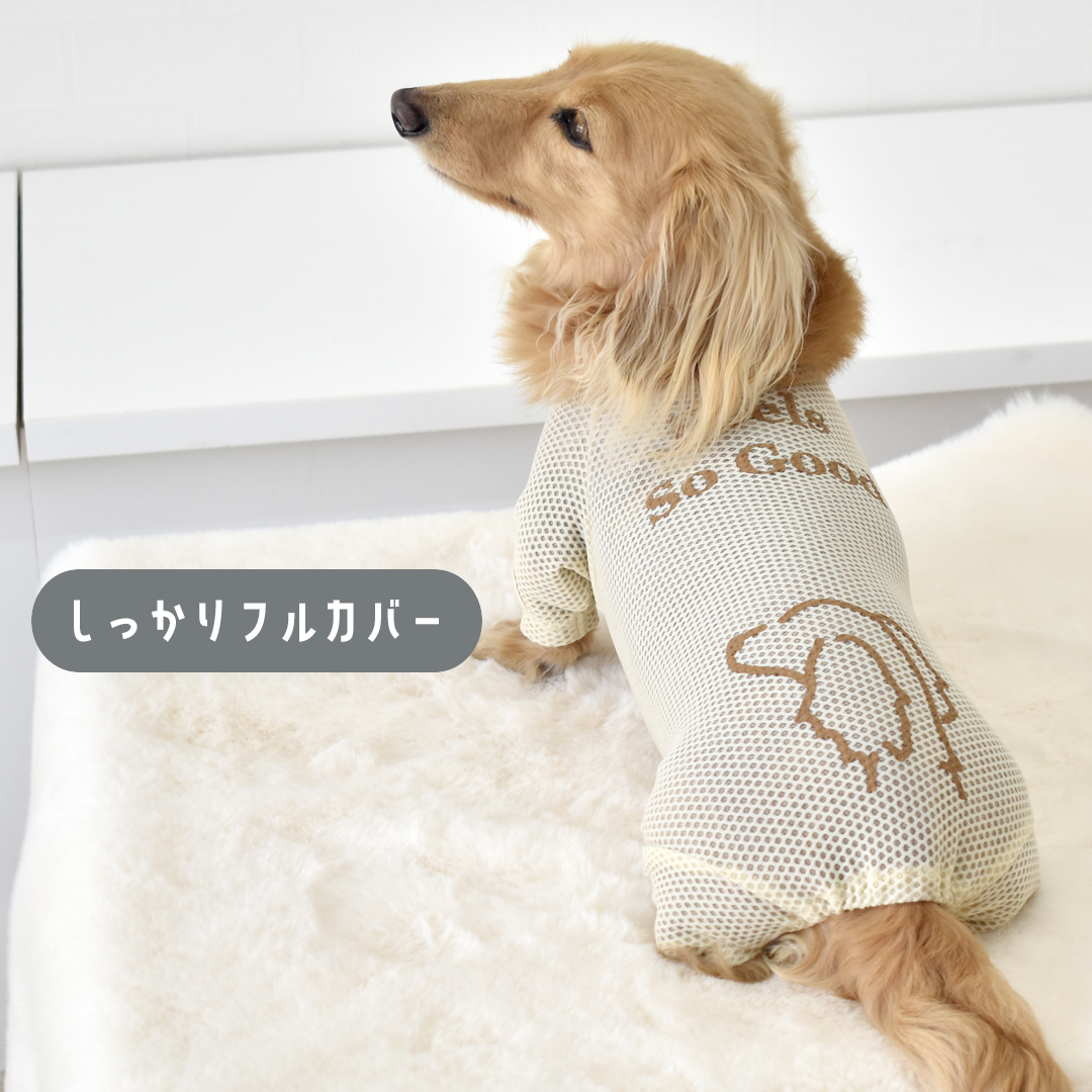 ダックス ロンパースのおすすめ人気商品一覧 通販 - Yahoo!ショッピング