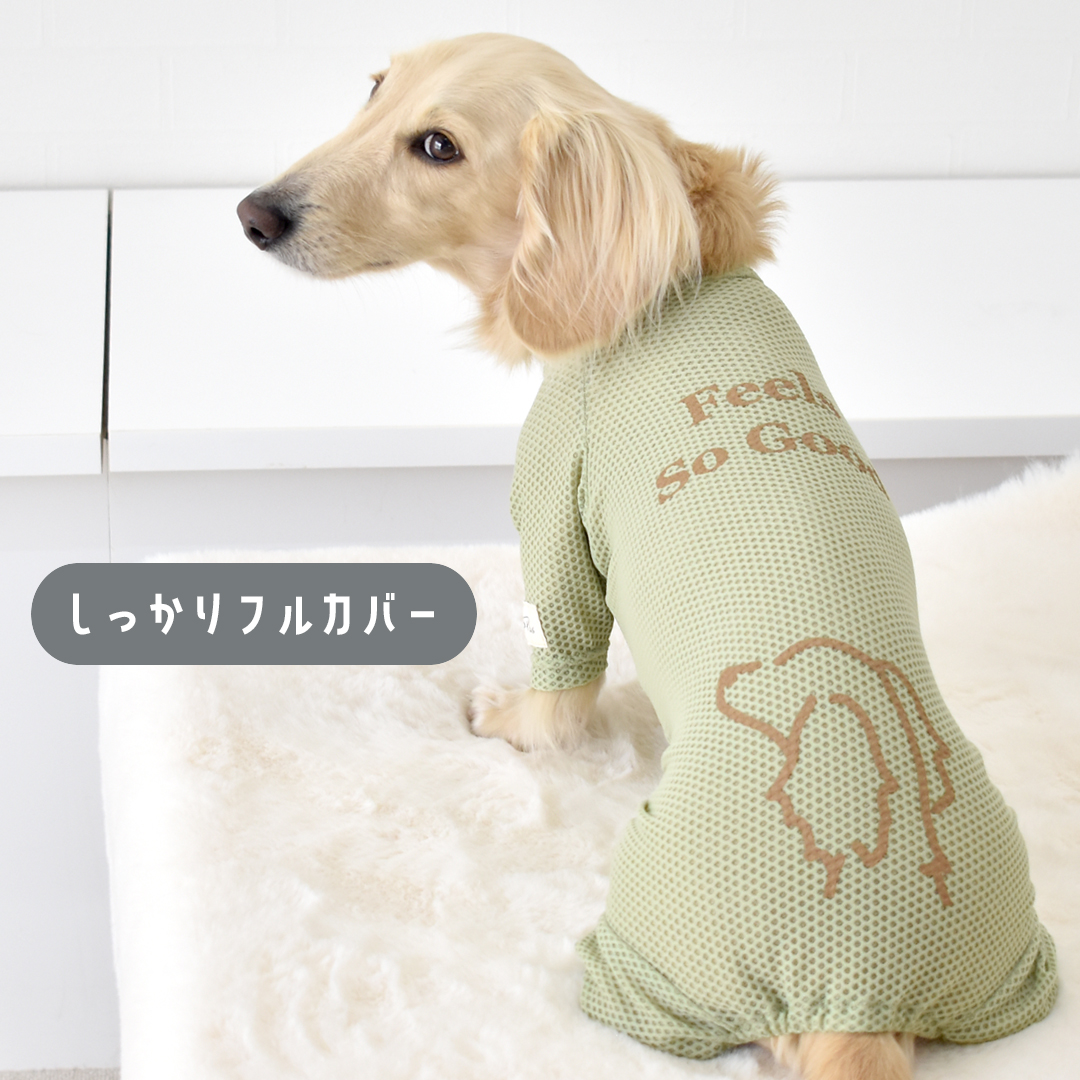 メッシュカバーオール ダックスサイズ 水着 ラッシュガード snowdrop