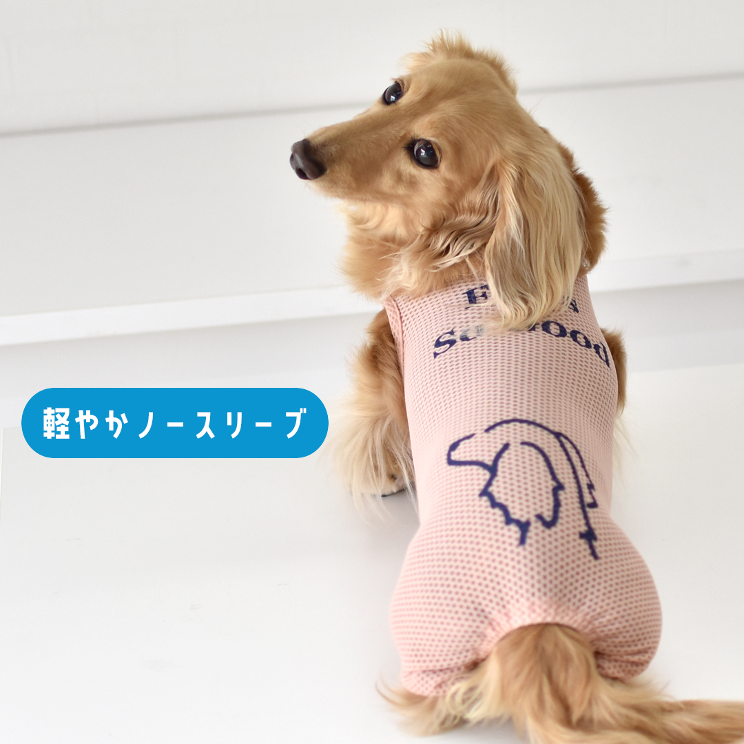 メッシュカバーオール ダックスサイズ 水着 ラッシュガード snowdrop