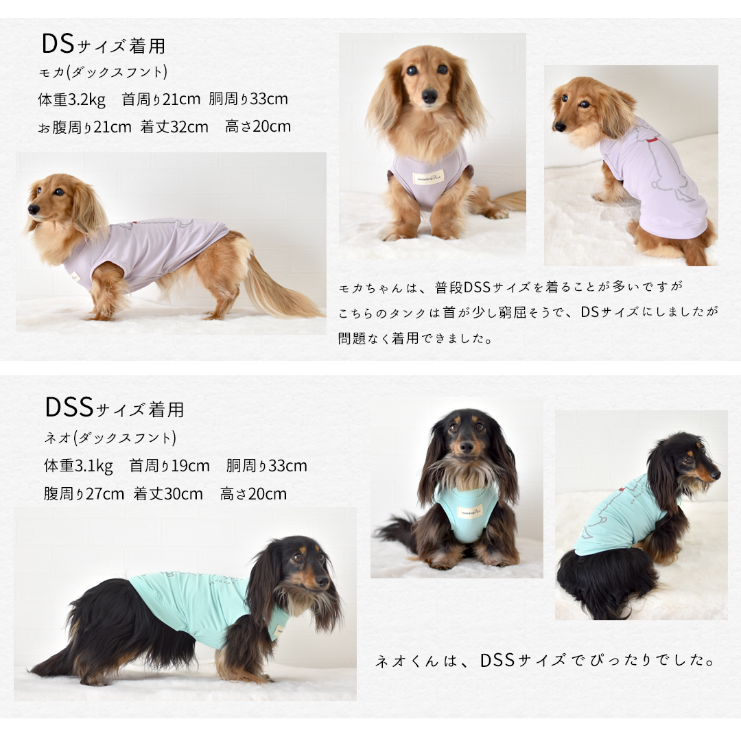 プリント後ろ向きダックス メッシュタンクトップ ダックスサイズ 犬 服 snowdrop クール のびのび ゆうパケット対応 関連画像3