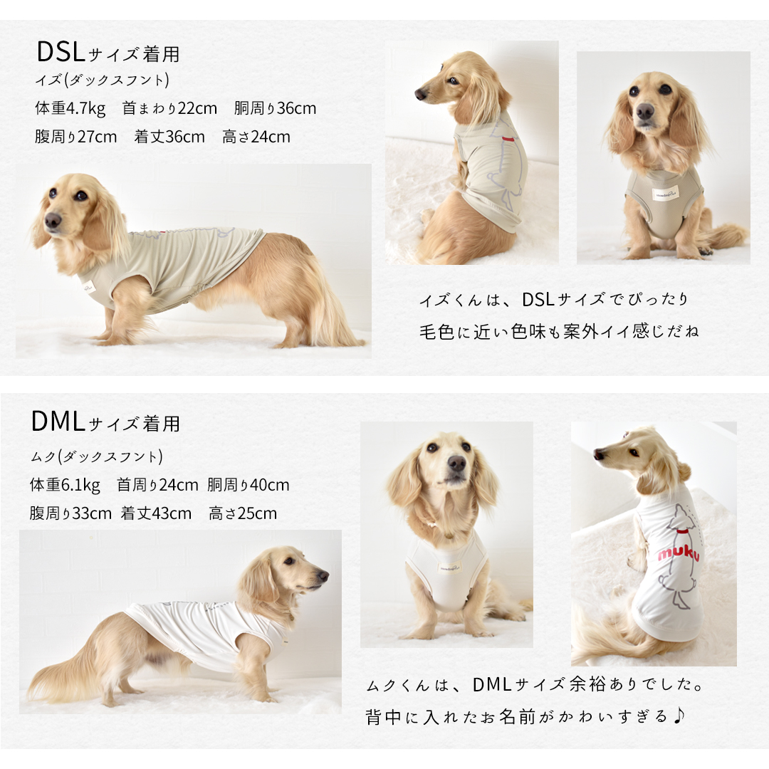 プリント後ろ向きダックス メッシュタンクトップ ダックスサイズ 犬 服 snowdrop クール のびのび ゆうパケット対応 関連画像4
