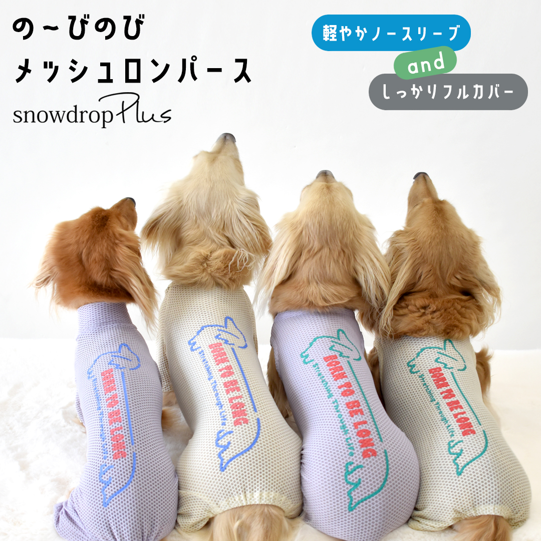 リボンスヌード ワッフル生地 犬 スヌード かわいい 耳カバー