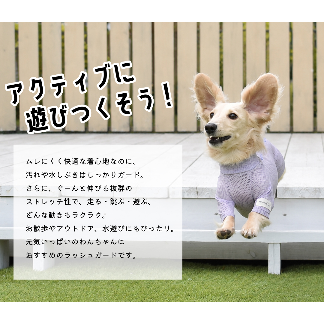 ダックスメッシュカバーオール 水着 ラッシュガード snowdrop メッシュ ロンパース ストレッチ 犬 夏服 犬服 ゆうパケット対応 関連画像1