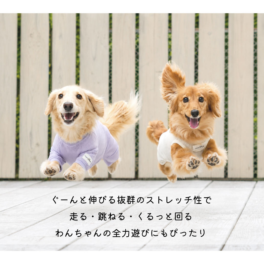 ダックスメッシュカバーオール 水着 ラッシュガード snowdrop メッシュ ロンパース ストレッチ 犬 夏服 犬服 ゆうパケット対応 関連画像2