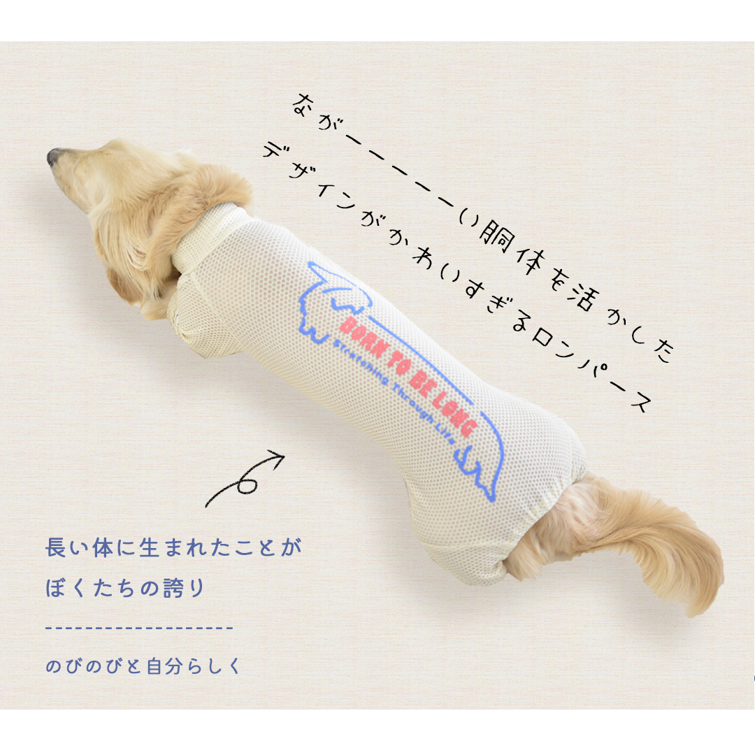 ダックスメッシュカバーオール 水着 ラッシュガード snowdrop メッシュ ロンパース ストレッチ 犬 夏服 犬服 ゆうパケット対応 関連画像4