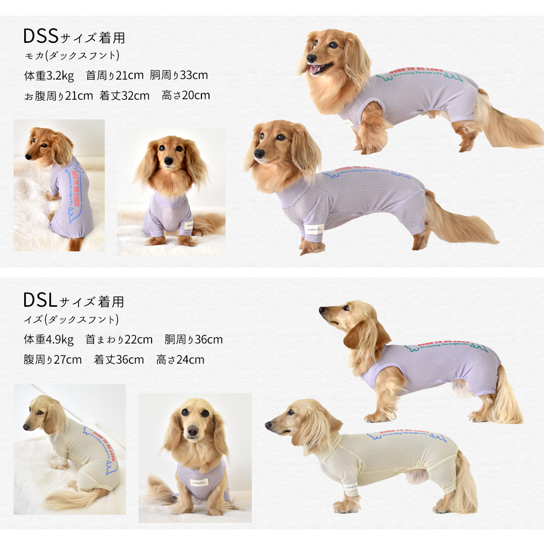 ダックスメッシュカバーオール 水着 ラッシュガード snowdrop メッシュ ロンパース ストレッチ 犬 夏服 犬服 ゆうパケット対応 関連画像5