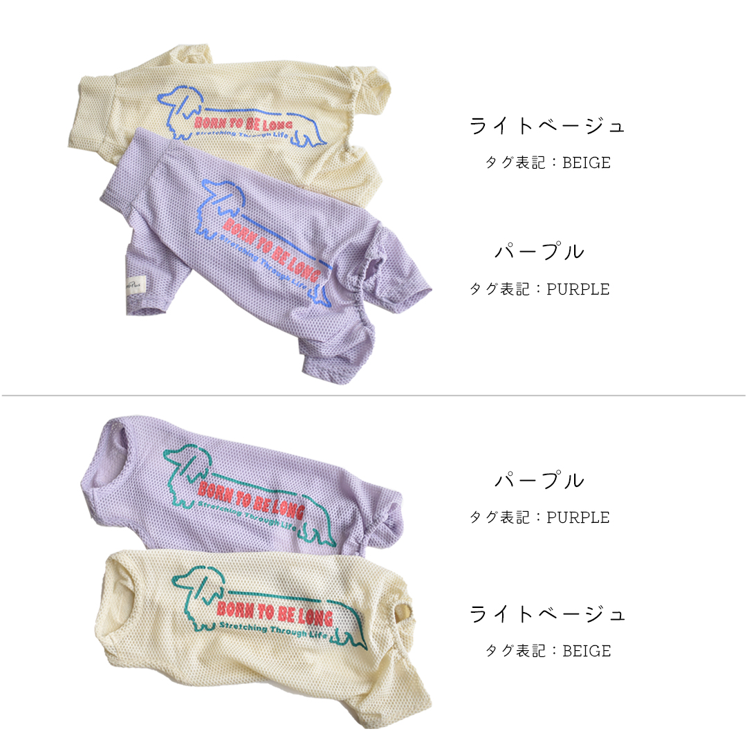 ダックスメッシュカバーオール 水着 ラッシュガード snowdrop メッシュ