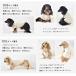 シンプル配色フレンチラグランTシャツ 名入れ プリント 柔らか ロゴ のびのび 犬 犬服 ストレッチ Tシャツ ドックウエア ゆうパケット可 関連画像3
