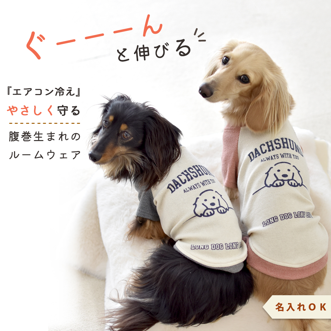 8月17日12時迄早割10％OFF)ダックス配色フレンチラグランTシャツ 名