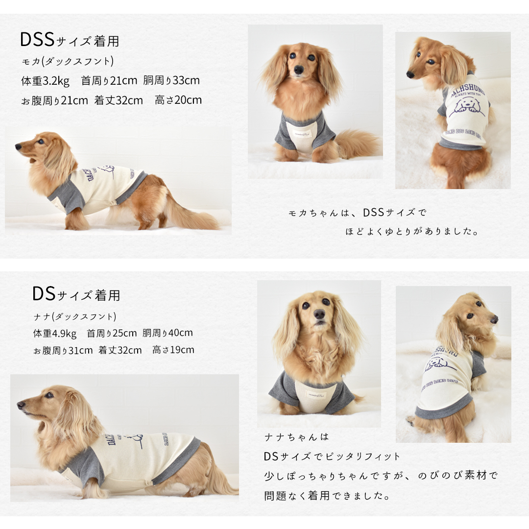 8月17日12時迄早割10％OFF)ダックス配色フレンチラグランTシャツ 名