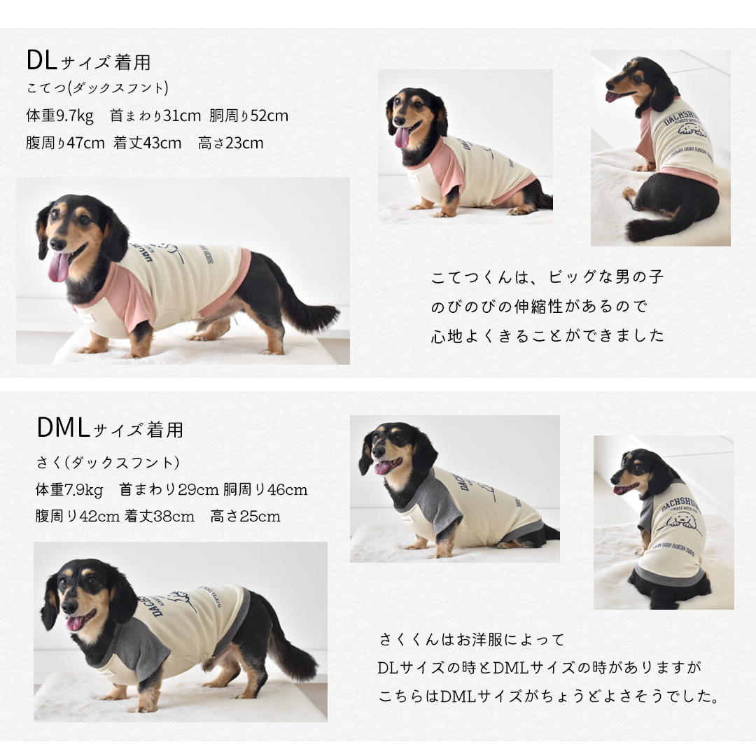 ダックス配色フレンチラグランTシャツ 名入れ プリント 柔らか ロゴ