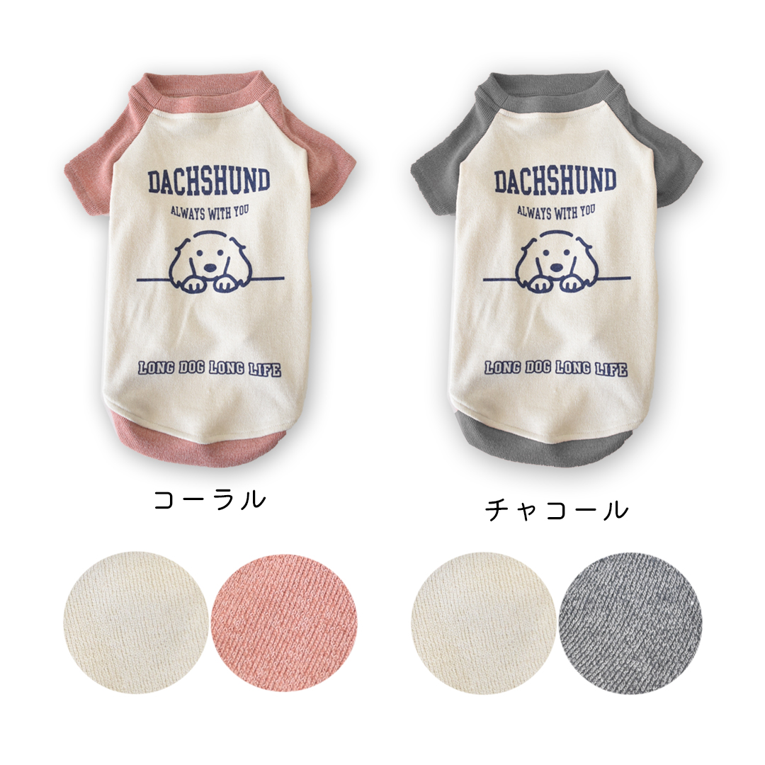 ダックス配色フレンチラグランTシャツ 名入れ プリント 柔らか ロゴ