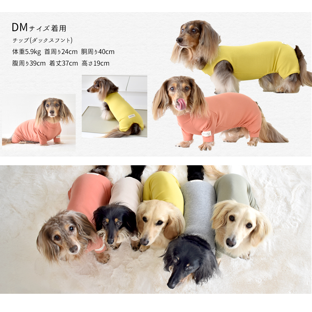 カバーオール プリント 名入れ ダックス 犬 犬服 ペット snowdrop ロンパース オールインワン つなぎ 部屋着 インナー  伸縮性 ゆうパケット対応 | ブランド登録なし | 07