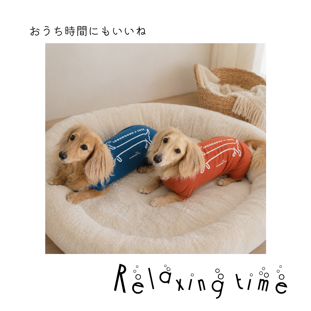 【数量限定】プリントカバーオール　つなぎ カバーオール ダックス 犬 犬服 ペット snowdrop ロンパース オールインワン つなぎ 部屋着 インナー  伸縮性 | ブランド登録なし | 07