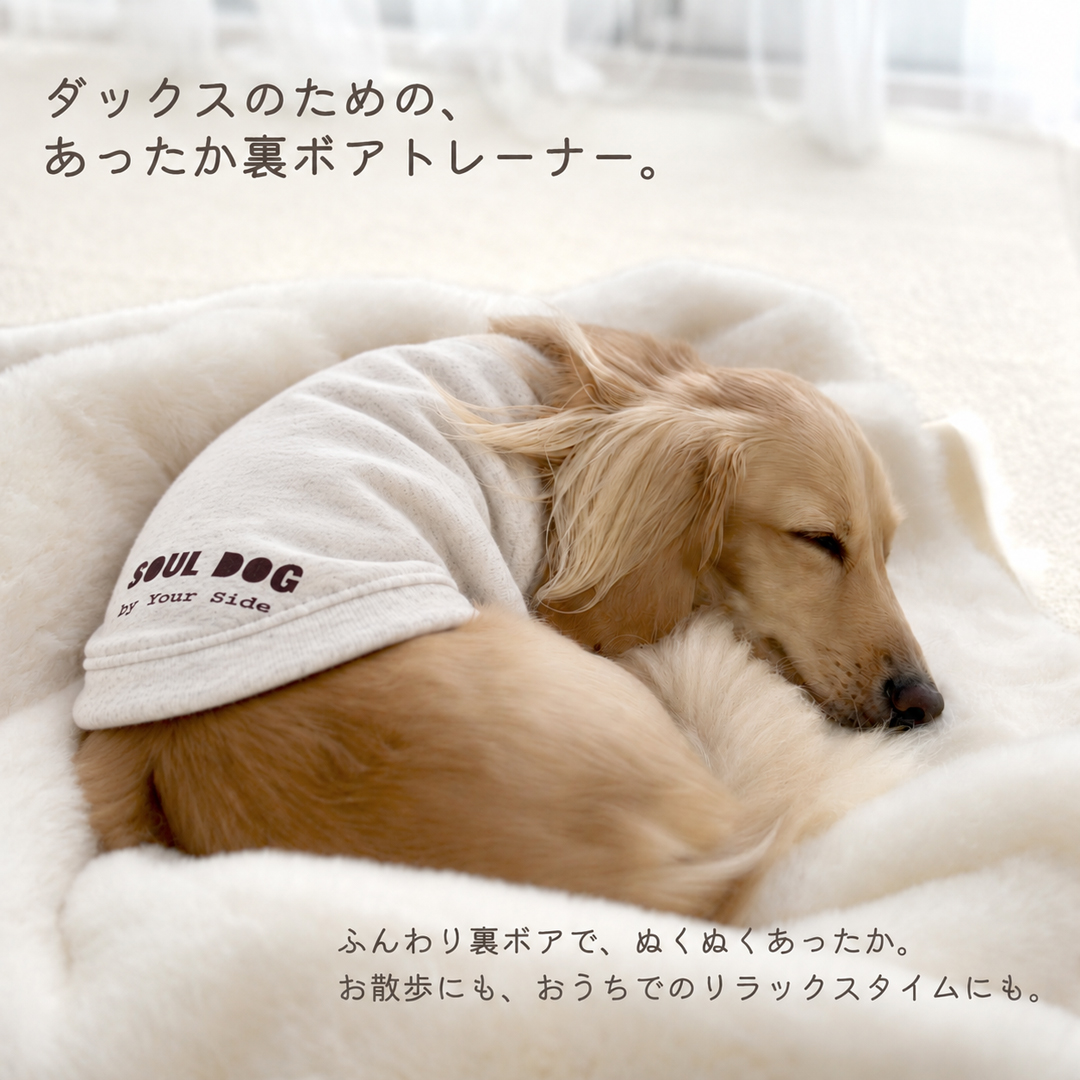 裏ボア フレンチ袖 犬種 プリント トレーナー ダックスサイズ 犬服 snowdrop ぬくぬく 暖か | ブランド登録なし | 04