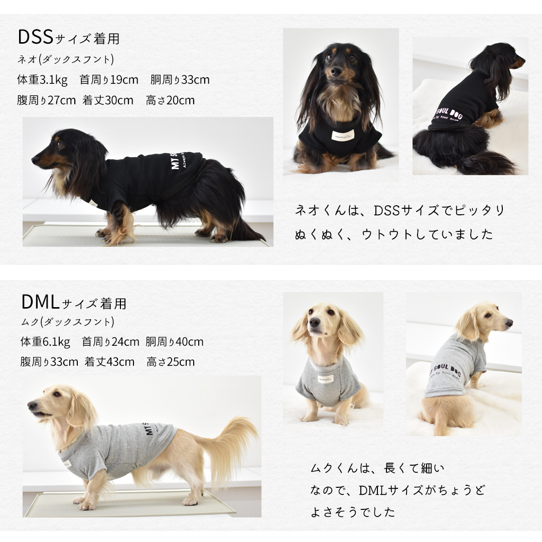 裏ボア フレンチ袖 犬種 プリント トレーナー ダックスサイズ 犬服 snowdrop ぬくぬく 暖か | ブランド登録なし | 05