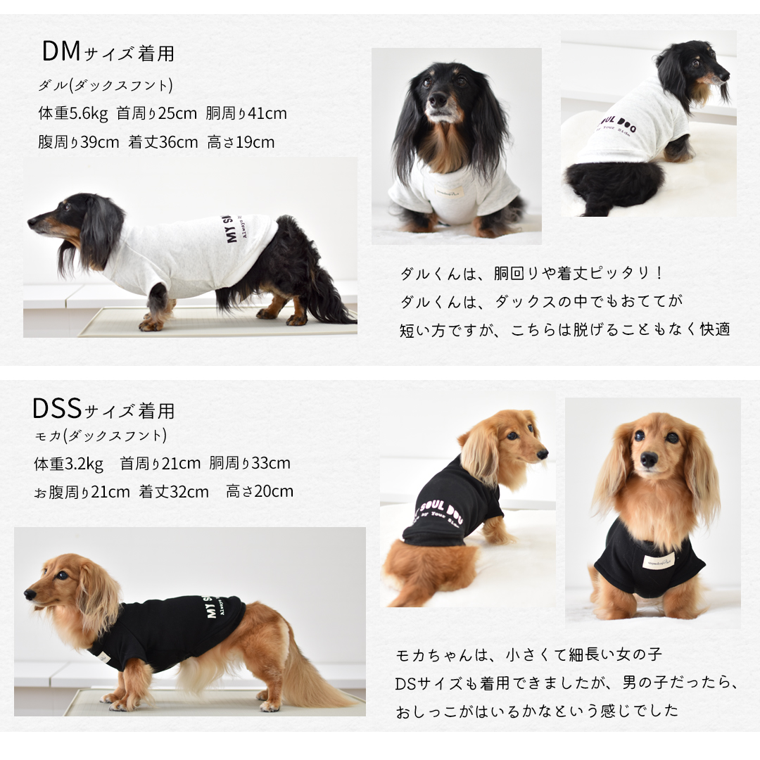 裏ボア フレンチ袖 犬種 プリント トレーナー ダックスサイズ 犬服 snowdrop ぬくぬく 暖か | ブランド登録なし | 06