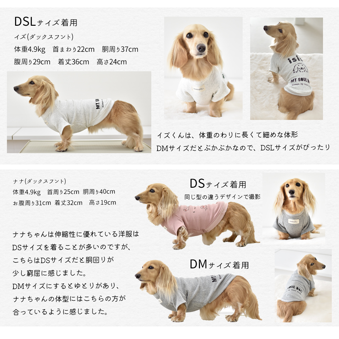 裏ボア フレンチ袖 犬種 プリント トレーナー ダックスサイズ 犬服 snowdrop ぬくぬく 暖か | ブランド登録なし | 07