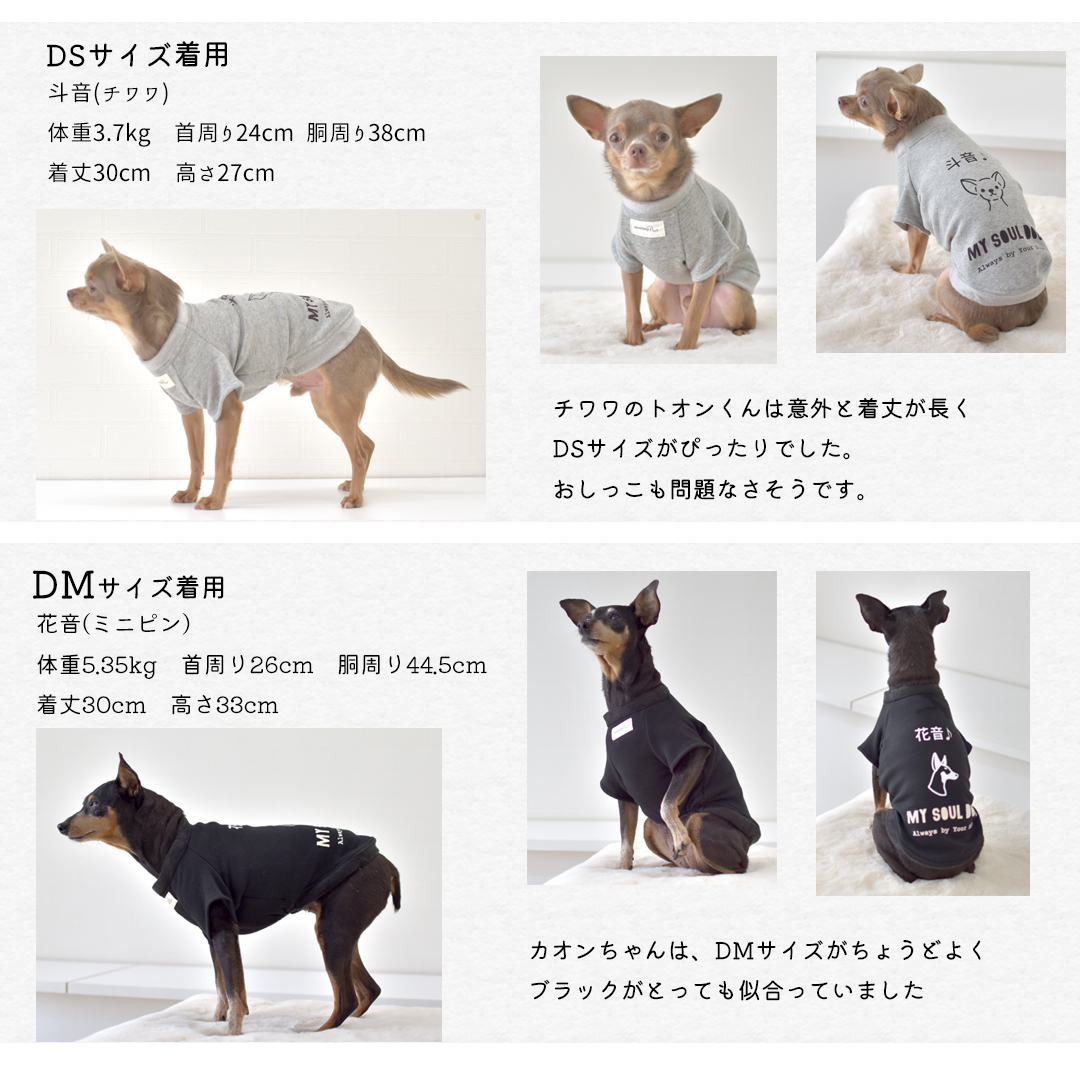 裏ボア フレンチ袖 犬種 プリント トレーナー ダックスサイズ 犬服 snowdrop ぬくぬく 暖か | ブランド登録なし | 08