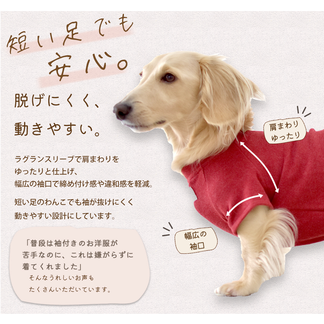 (10月20日12時迄早割10％OFF)起毛フレンチ袖 名前入り プリント  ダックスサイズ 犬服 snowdrop あったか ストレッチ ゆうパケット対応 | ブランド登録なし | 02