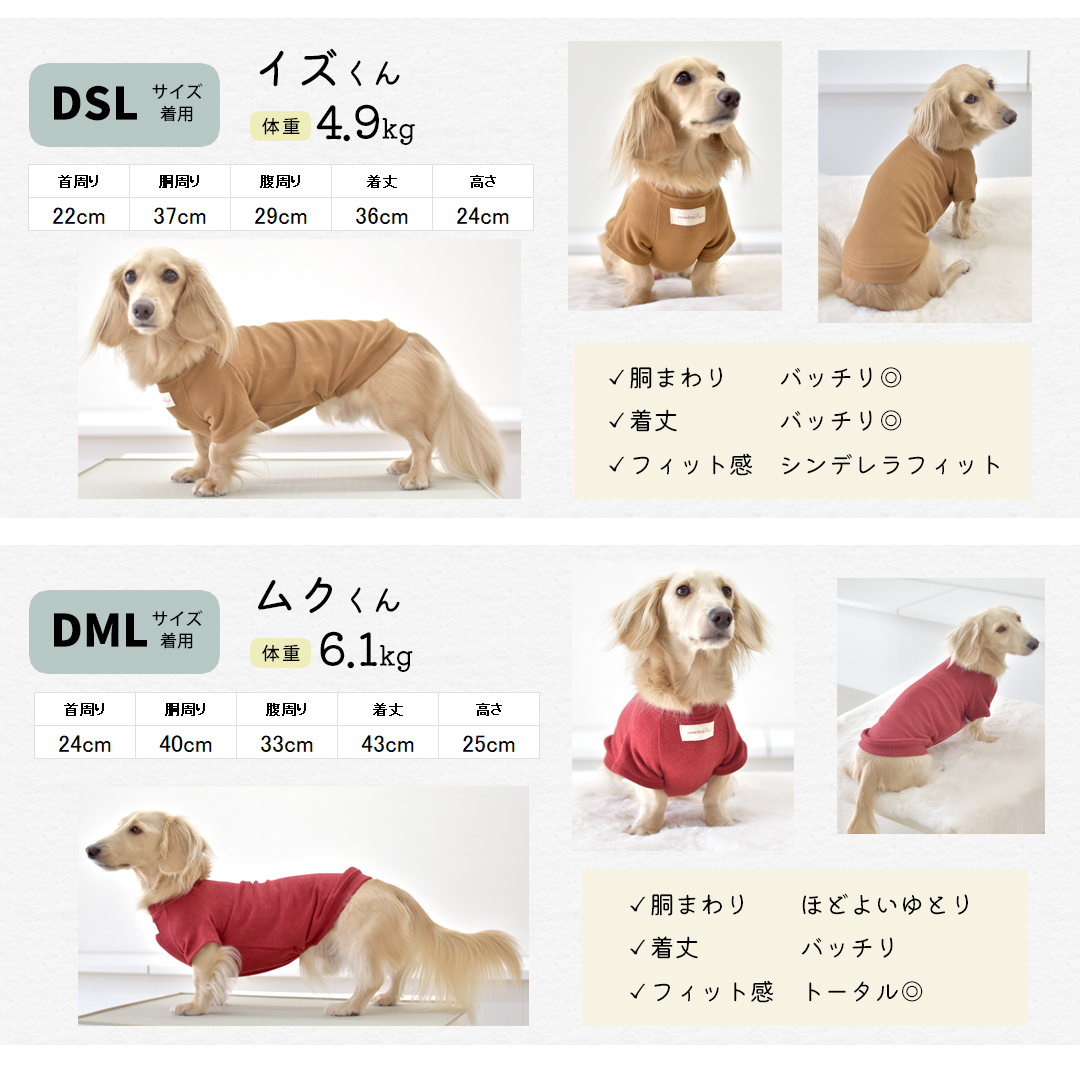 (10月20日12時迄早割10％OFF)起毛フレンチ袖 名前入り プリント  ダックスサイズ 犬服 snowdrop あったか ストレッチ ゆうパケット対応 | ブランド登録なし | 03