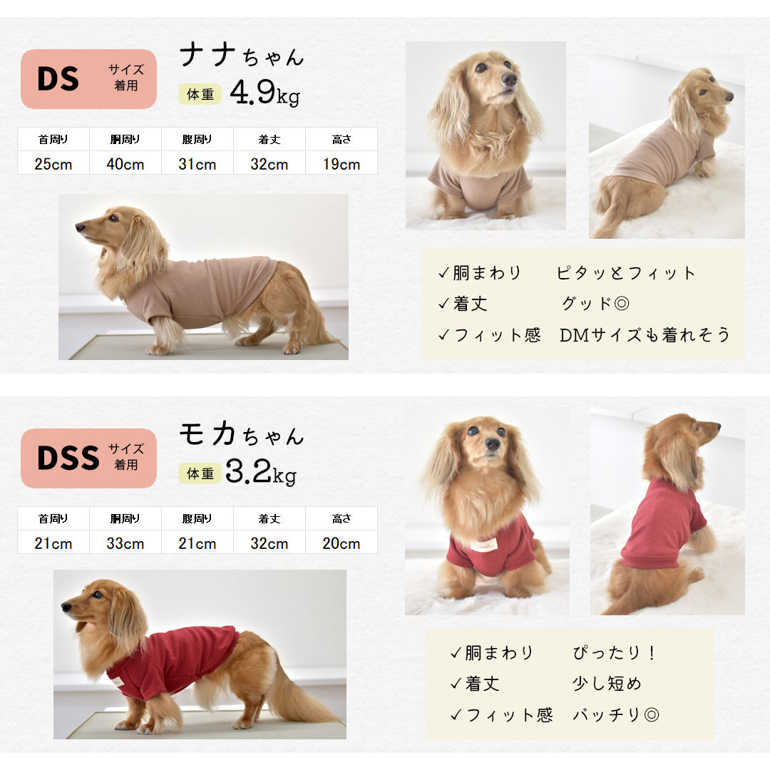 (10月20日12時迄早割10％OFF)起毛フレンチ袖 名前入り プリント  ダックスサイズ 犬服 snowdrop あったか ストレッチ ゆうパケット対応 | ブランド登録なし | 04