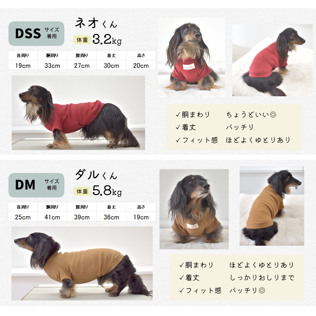 (10月20日12時迄早割10％OFF)起毛フレンチ袖 名前入り プリント  ダックスサイズ 犬服 snowdrop あったか ストレッチ ゆうパケット対応 | ブランド登録なし | 05