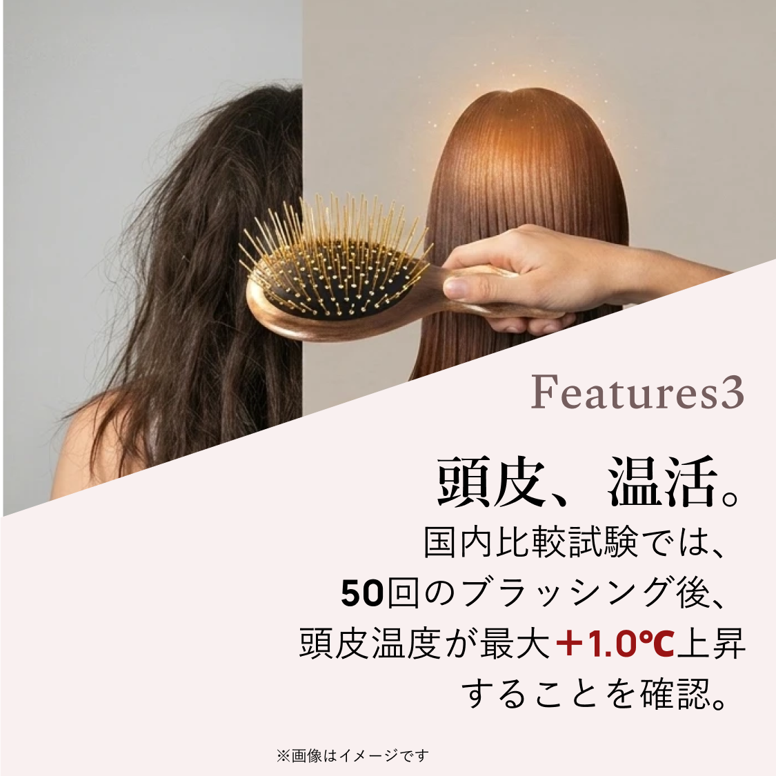 SNOW FOX SKINCARE 【特許】SNOW FOX SKINCARE プレミアム FOX カッサ