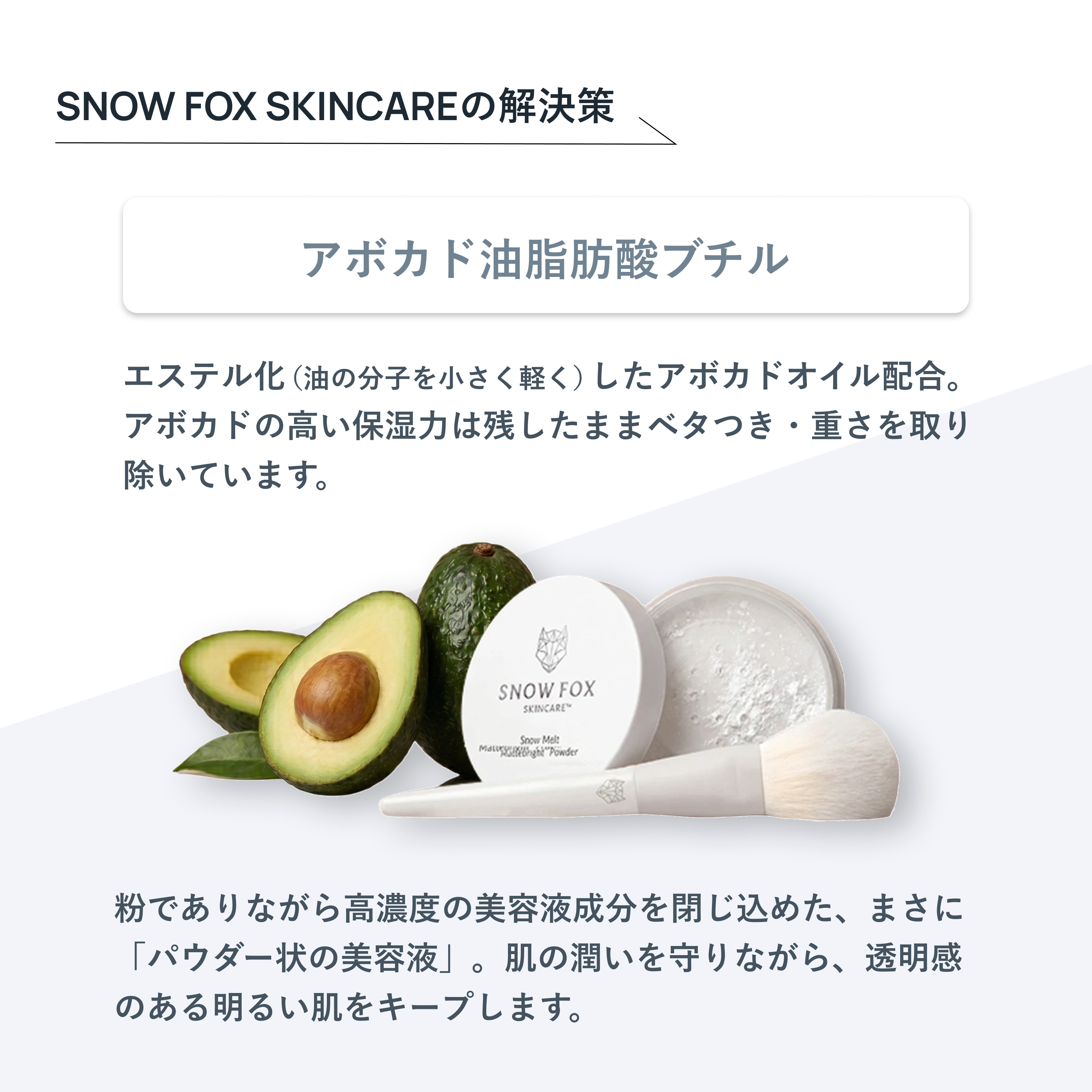 SNOW FOX SKINCARE スノーメルト モイスチャー マットブライト