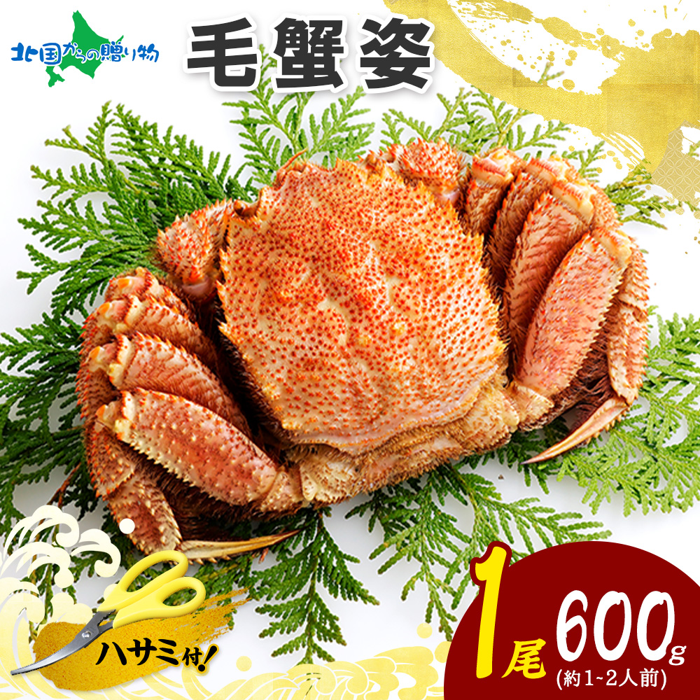 毛ガニ 北海道 毛蟹 600g かに 母の日 海鮮 カニ ギフト ボイル